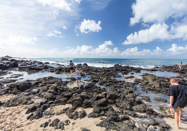 Things to do with kids in Hawaii - North Shore Oahu Hawaii