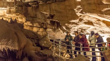 Mammoth Cave National Park