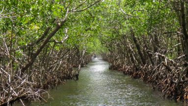 Everglades National Park with kids