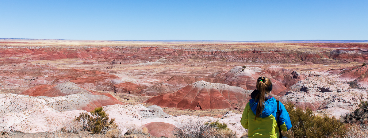 Arizona’s Petrified Forest National Park and Painted Desert