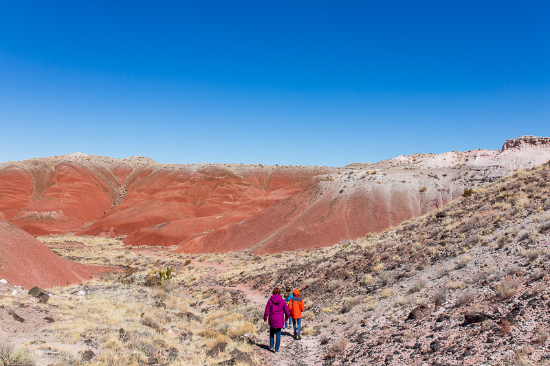 Hiking in Petrified Forest National Park