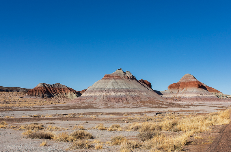 Petrified Forest National Park Tepees