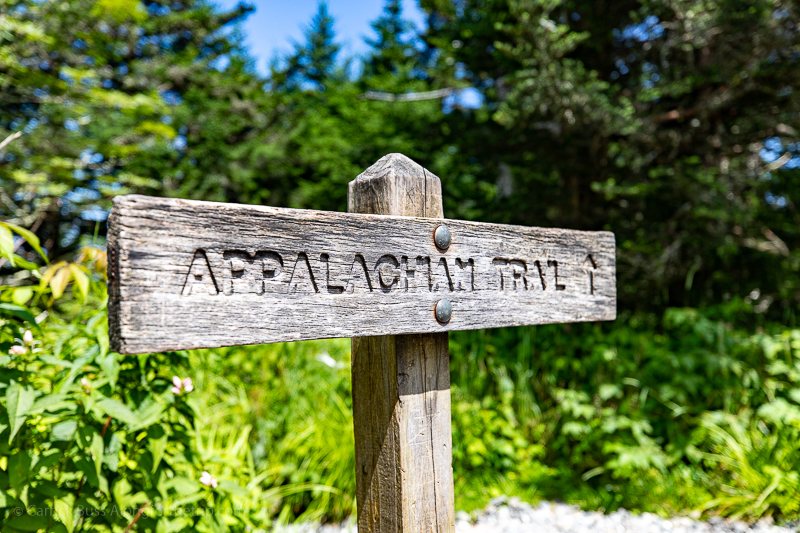 Appalachian National Trail