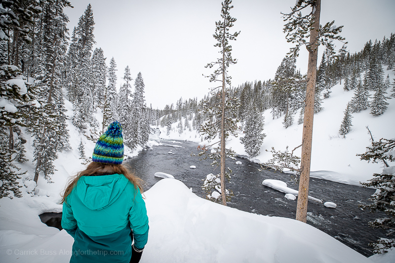 Yellowstone National Park in December