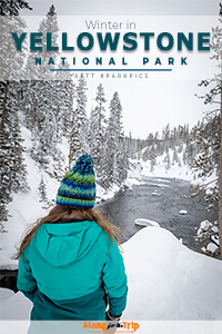 Winter in Yellowstone National Park