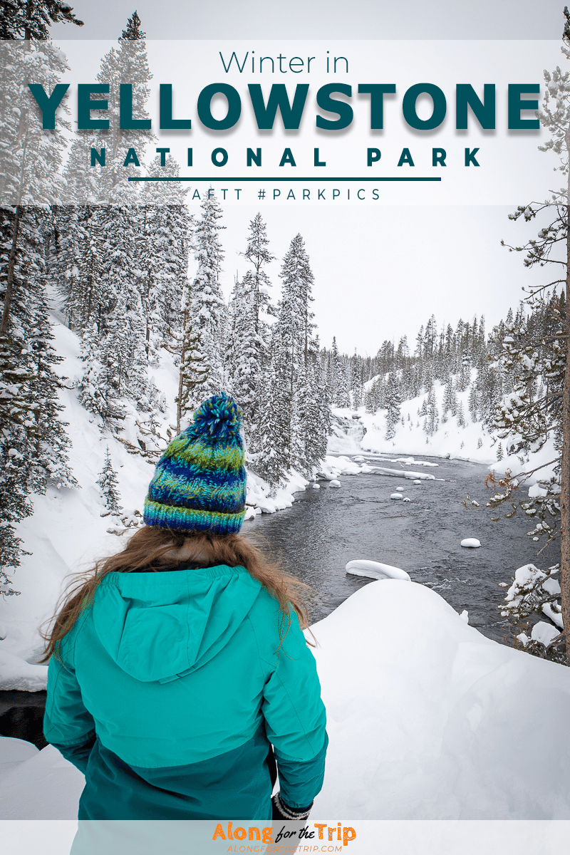 AftT #ParkPics: Winter in Yellowstone National Park