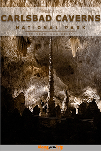 A Day in Carlsbad Caverns National Park
