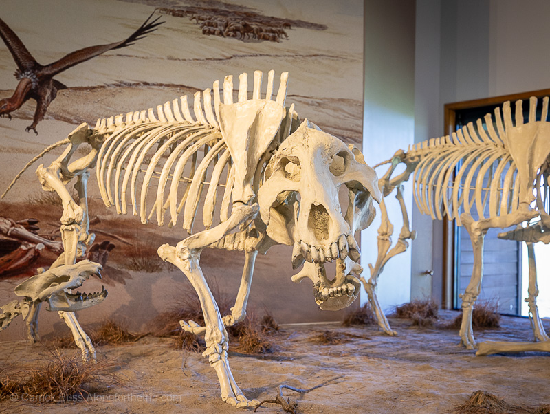 Agate Fossil Beds National Monument-10 Agate Fossil Beds National Monument Nebraska