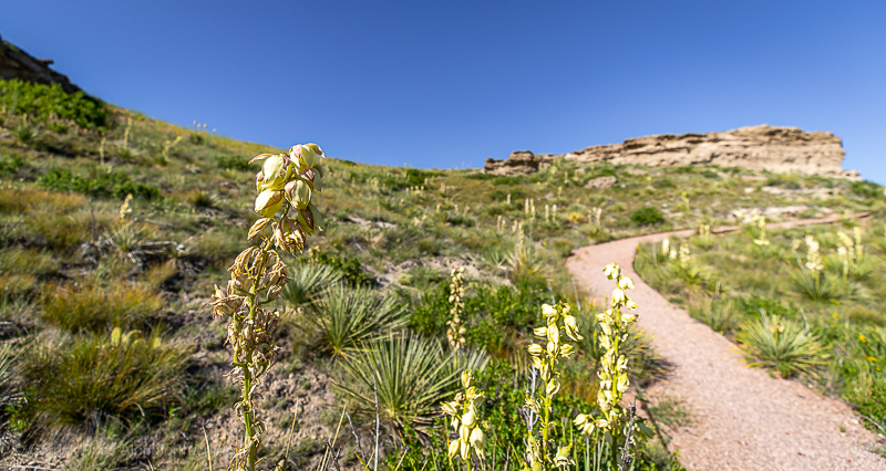 Agate Fossil Beds National Monument-14 Agate Fossil Beds National Monument Daemonelix Trail