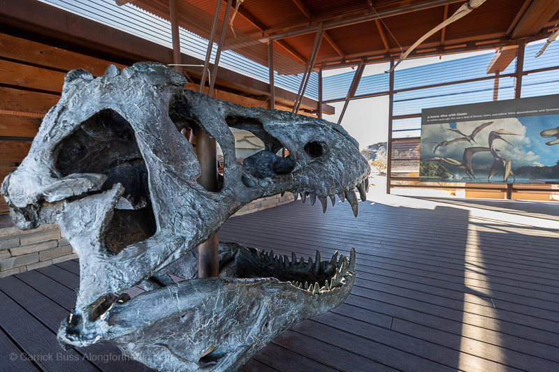 Big Bend National Park-4 Big Bend National Park - Dinosaur Fossils