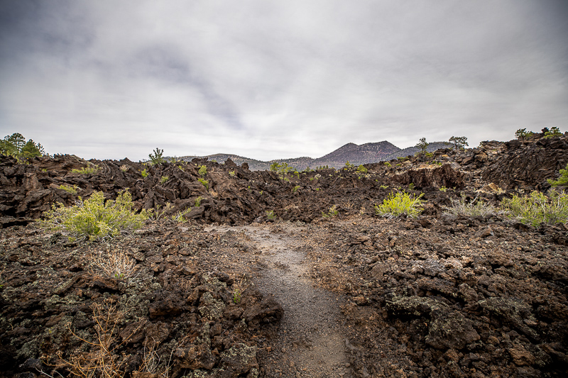 Sunset Crater Volcano National Monument